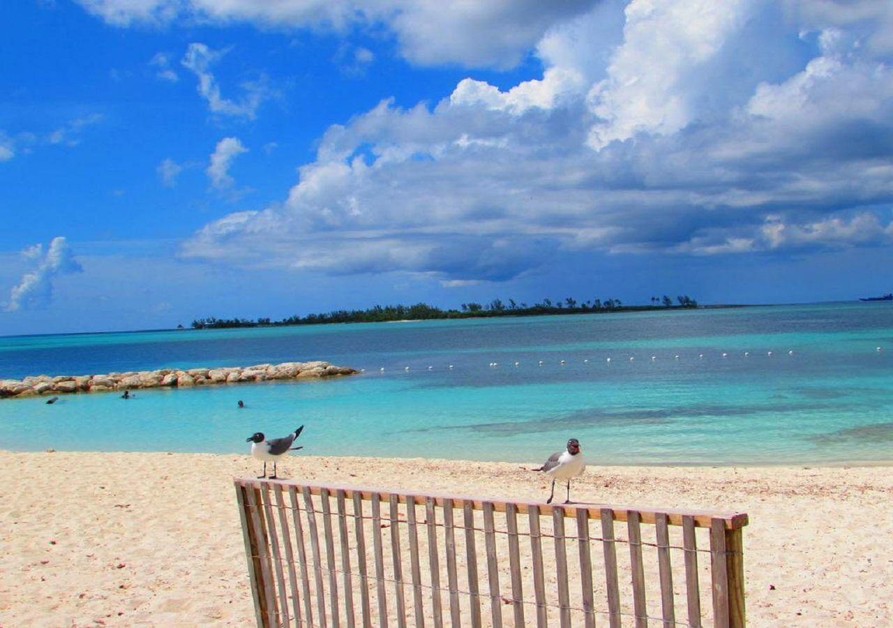 ナッソーThe Oasis Retreatアパートメント エクステリア 写真